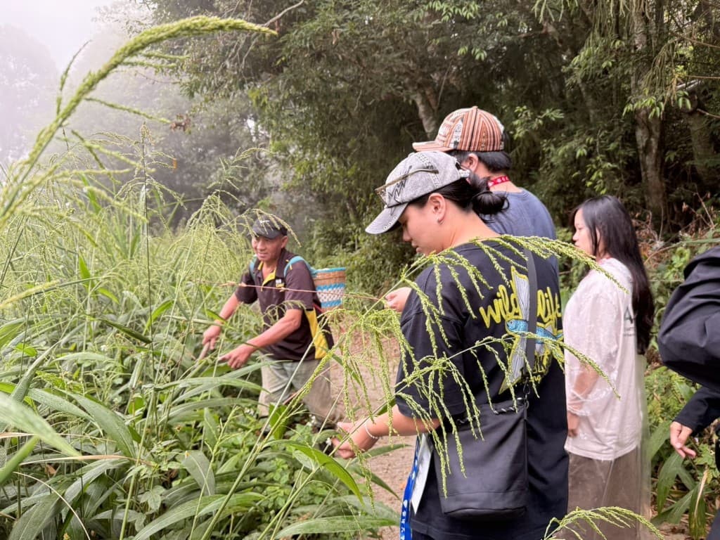 In a misty forest, a local guide points out plants while students look on