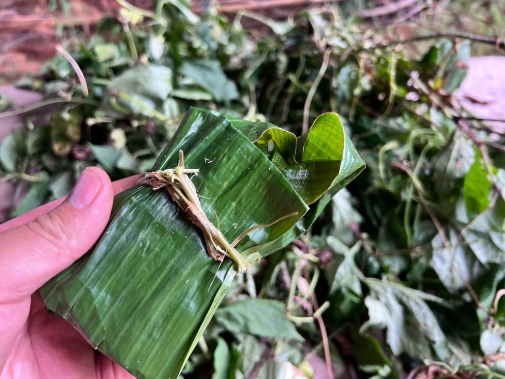A banana-leaf meal packet tied with a plant stem
