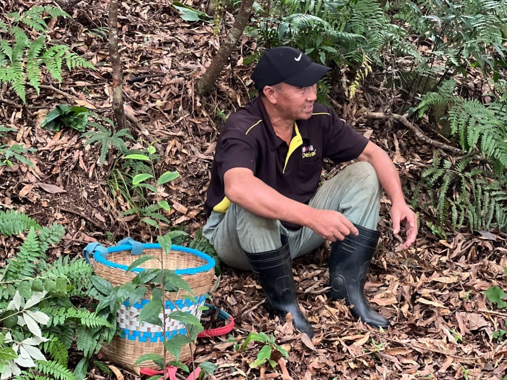 sbunaw elder Tali seated in the forest beside a blue-and-white woven basket