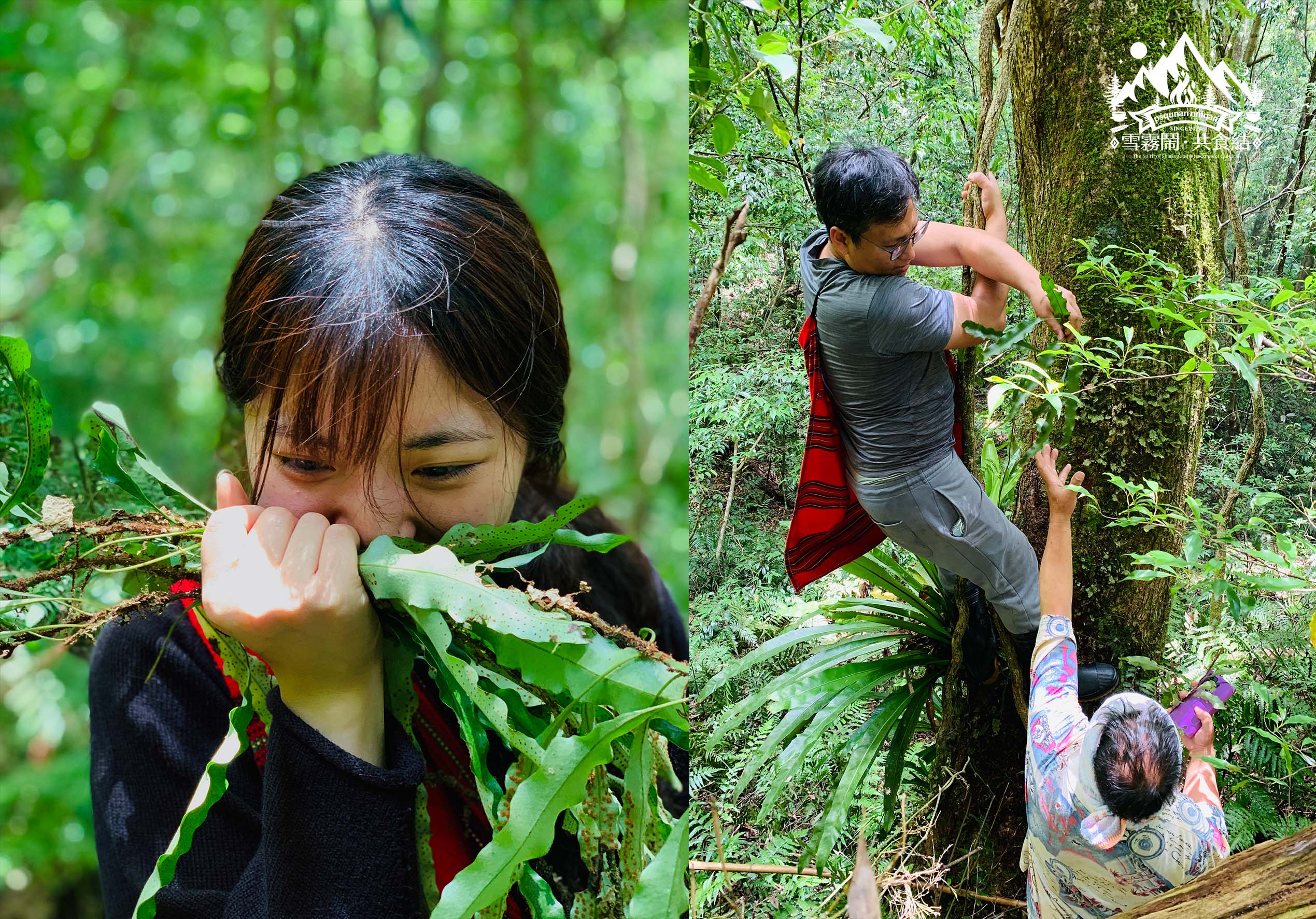 林業故事館現場