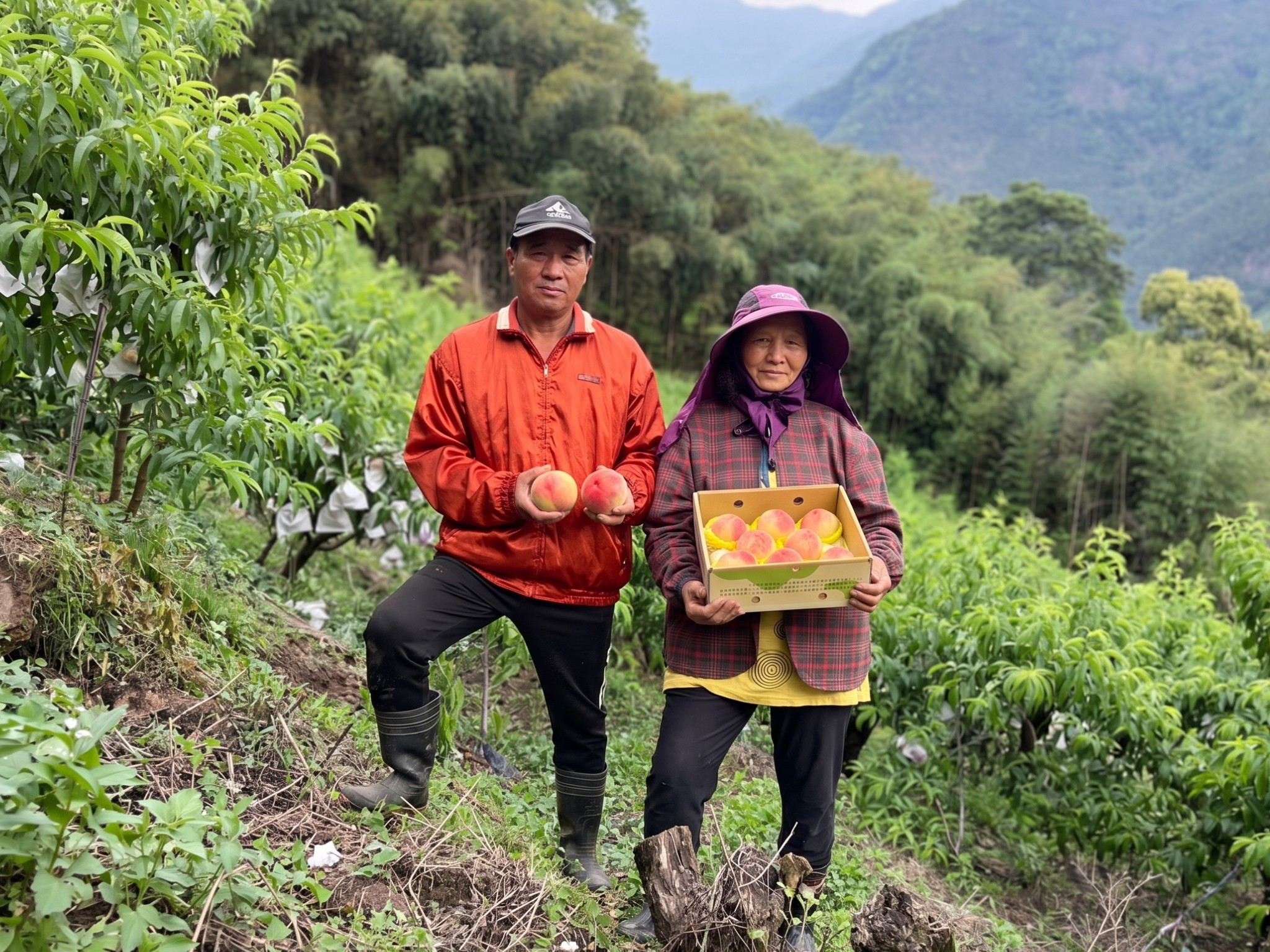 PLUW！在拉拉山的雲霧裡，守住一顆桃子的溫柔